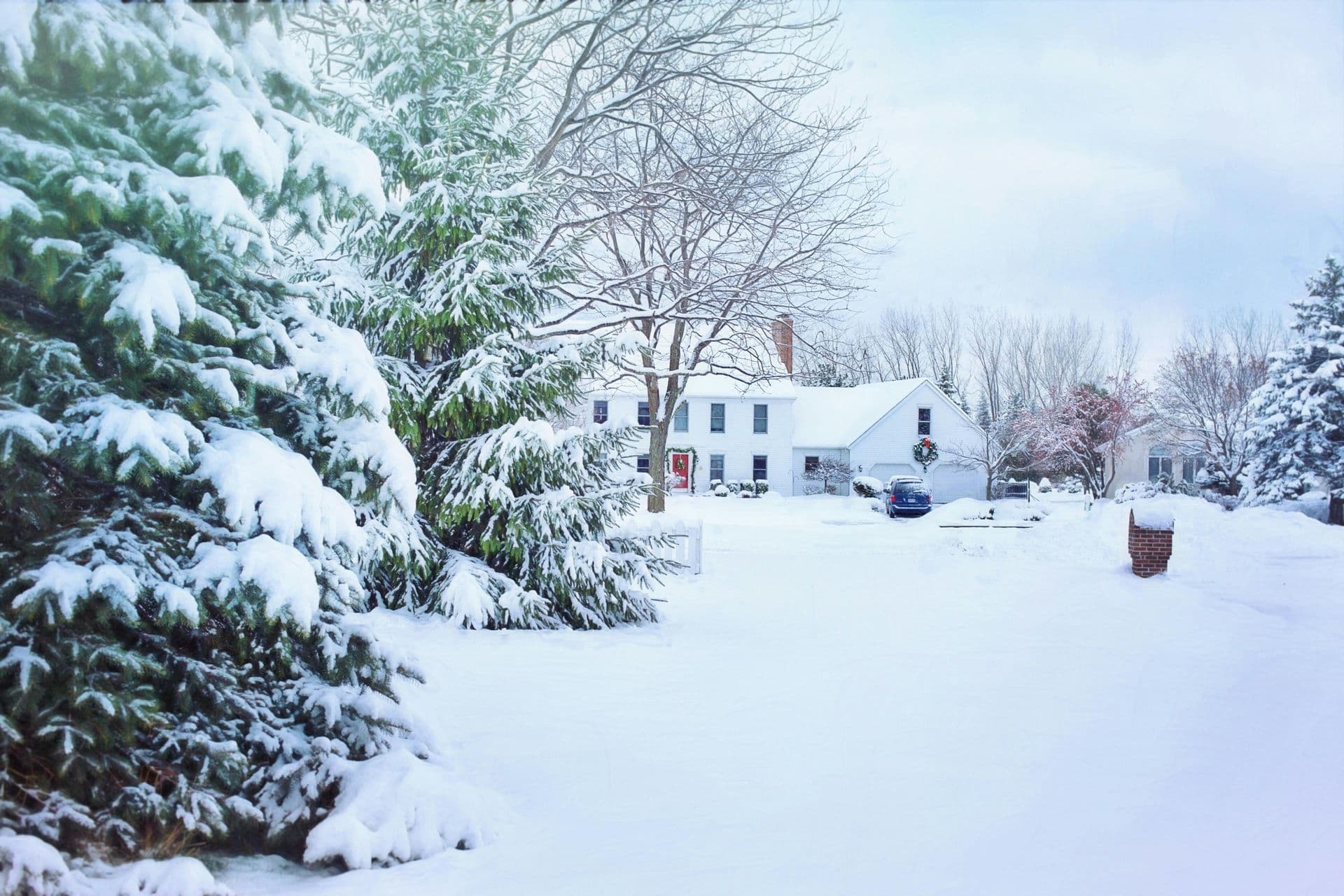 A house and evergreens after heavy snow